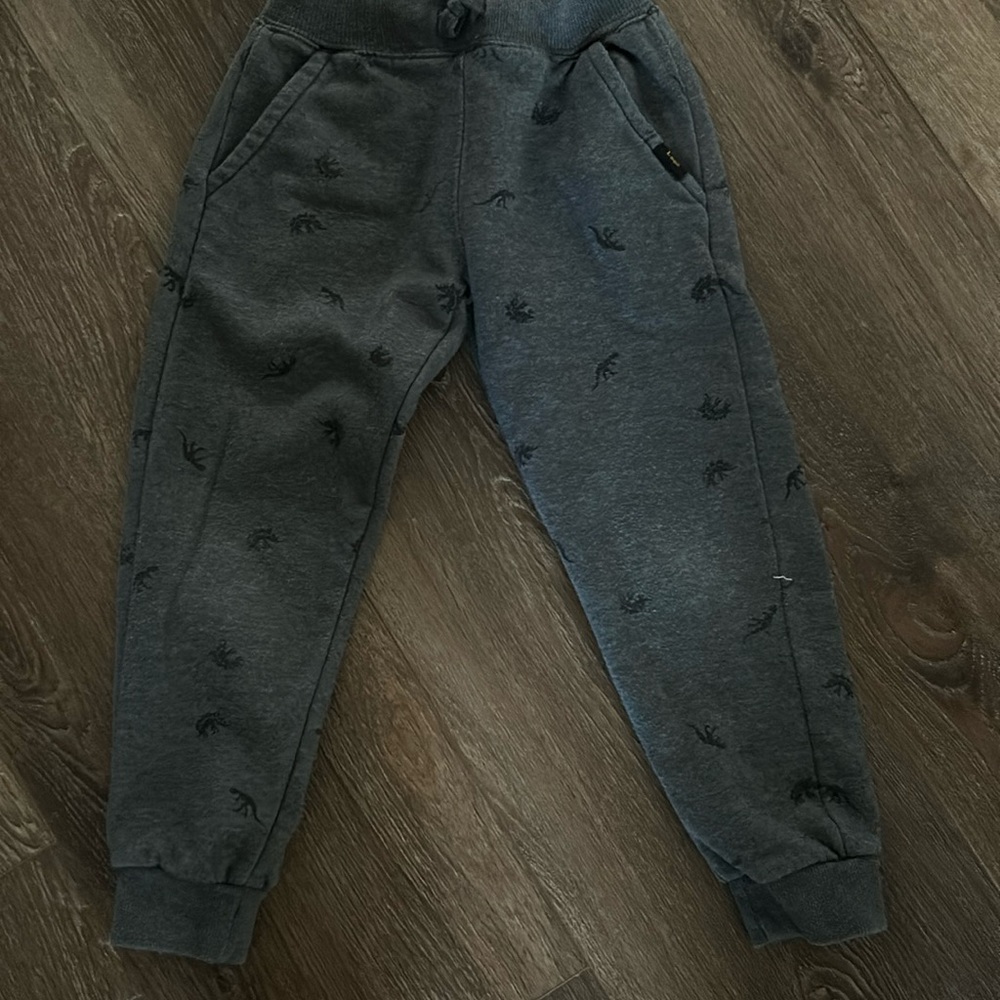 Boys Dino print pants